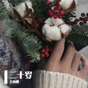 新加坡人妻足交
