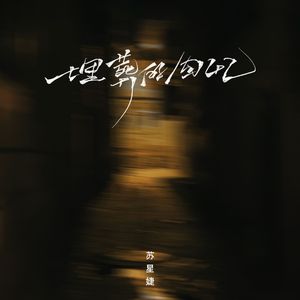 新加坡人妻足交
